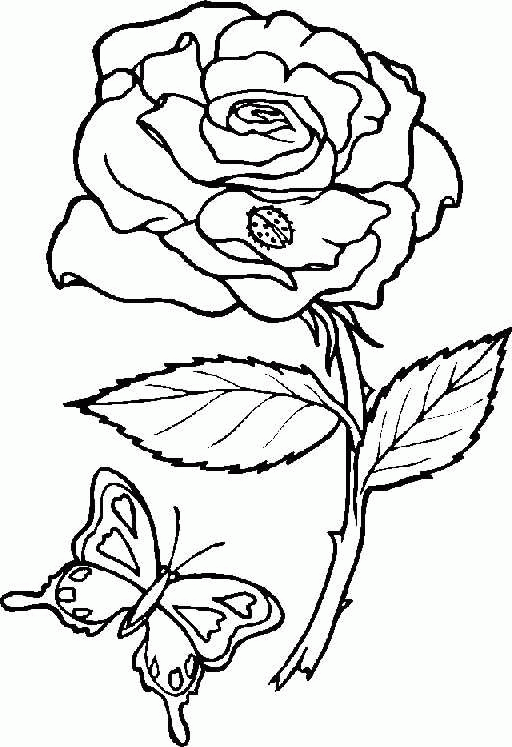 Plansa de colorat cu Fluturi 57 53